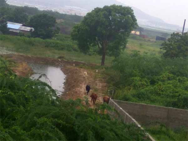 பயத்தை ஒதுக்கி ரசிப்போம்