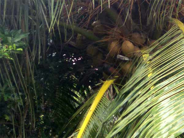 இயற்கையை ரசிப்போம்