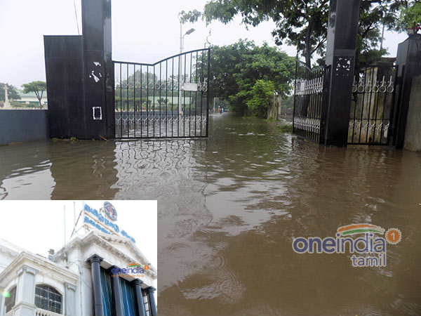 கடும் நடவடிக்கை தேவை