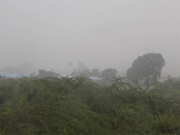 பலபகுதிகளில் கனமழை