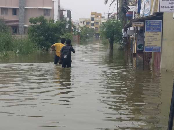படகு ஓடும் சாலைகள்