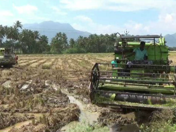 வெள்ளம் வடிந்த பின்னர் கணக்கெடுப்பு