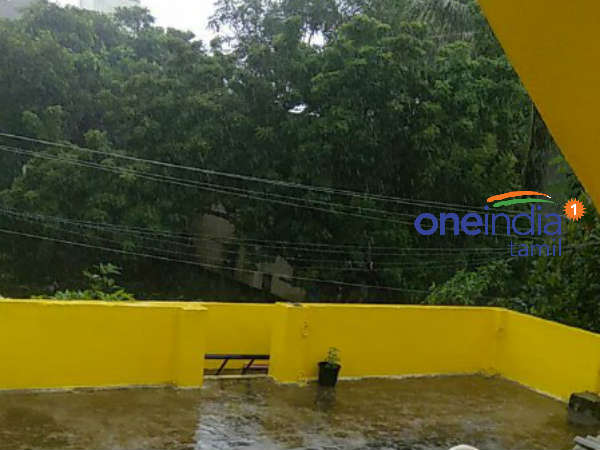 இயல்புநிலை திரும்புகிறது