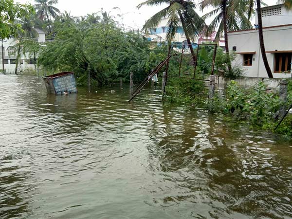 காய்ச்சல் பாதிப்பு