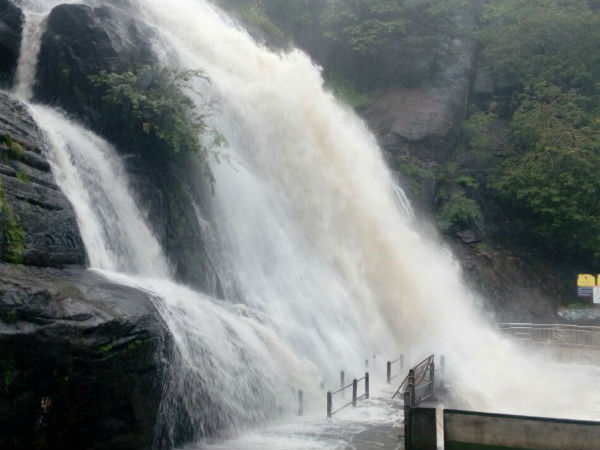 பொங்கும் அருவி