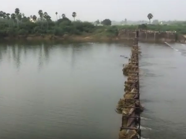 நஞ்சாக மாறிய மீன்கள்