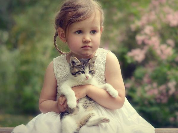 ஆசிரியர் பணி