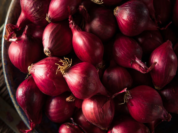 Onion price goes high in market Onion price goes high in market