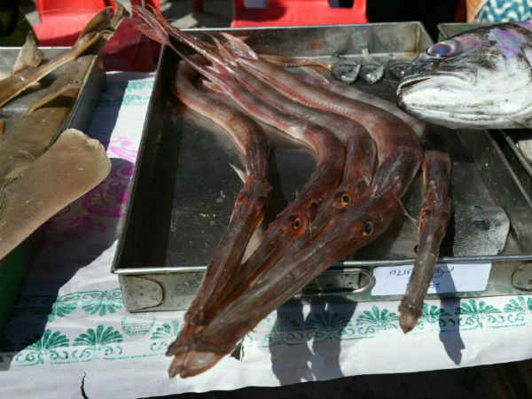 கண்காட்சியை தொடங்கி வைத்த தமிழிசை