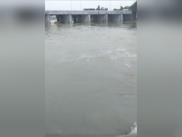 Intense water flow at chennai's ramapuram Adyar canal due to last night heavy rain Intense water flow at chennai's ramapuram Adyar canal due to last night heavy rain