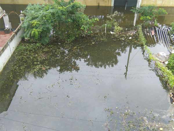 TN coastal districts gets heavy rainfall TN coastal districts gets heavy rainfall