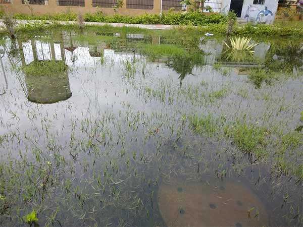 Holiday declared to districts schools due to heavy rain Holiday declared to districts schools due to heavy rain