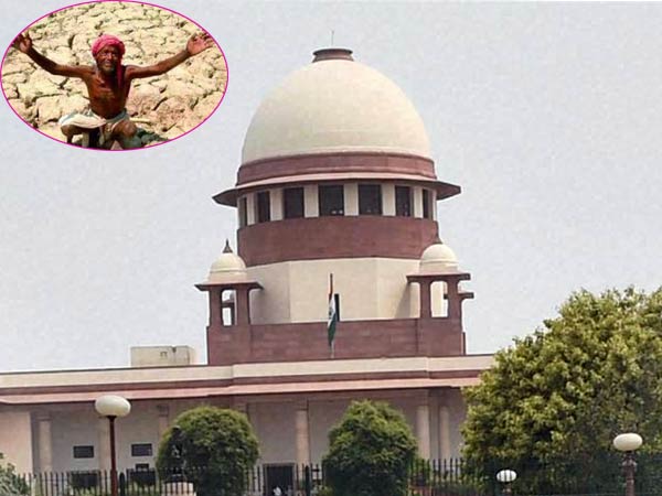 SC issues notice to TN on farmers suicide SC issues notice to TN on farmers suicide