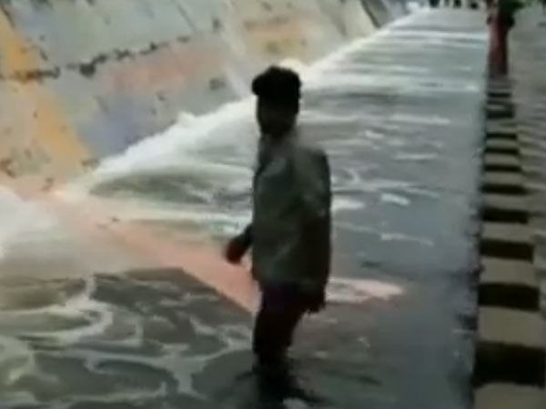 Fishes found in Cooum river at Thiruverkadu in Chennai Fishes found in Cooum river at Thiruverkadu in Chennai