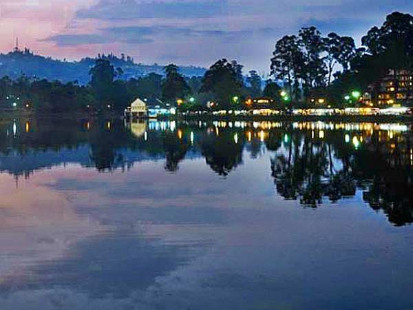 High mercury levels in fish at Kodai lake, says IIT report High mercury levels in fish at Kodai lake, says IIT report