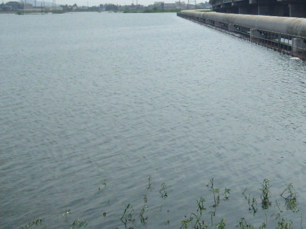 80 Percentage lakes filled at Kancheepuram district 80 Percentage lakes filled at Kancheepuram district