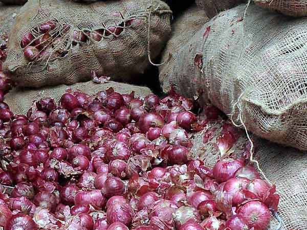 Shortage in Onion yields Results Tamilnadu is now expecting from Maharashtra Farmers Shortage in Onion yields Results Tamilnadu is now expecting from Maharashtra Farmers