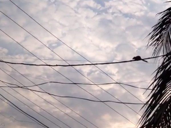 Old man electrocuted near Aranthangi Old man electrocuted near Aranthangi