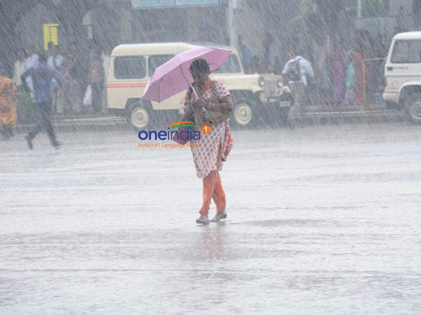 In the past 24 hours, the highest number of rains recorded in Palayamkottai In the past 24 hours, the highest number of rains recorded in Palayamkottai