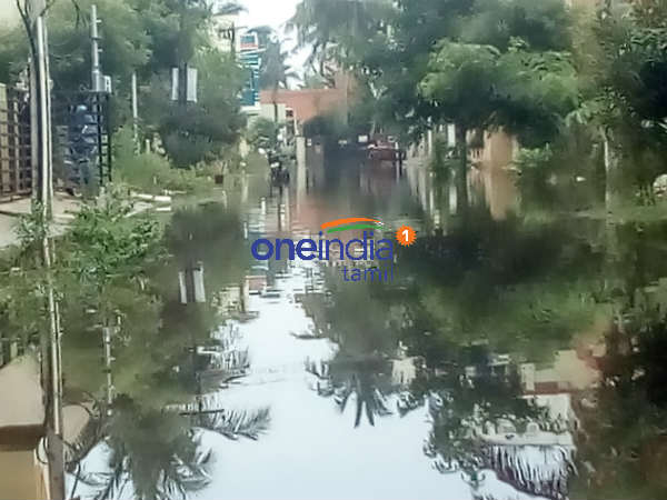 Nearly 3 thousand hectare of Samba crops submerged in heavy rains at Thiruvarur Nearly 3 thousand hectare of Samba crops submerged in heavy rains at Thiruvarur