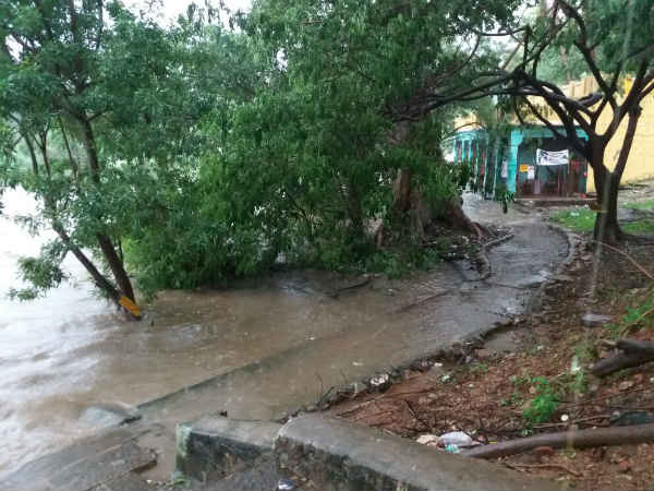 Three people drained in the flood with two wheelor at Thamirabharani river Three people drained in the flood with two wheelor at Thamirabharani river