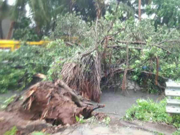 தீவிர மீட்புப் பணிகள்
