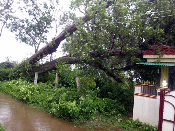 கன்னியாகுமரியில் கனமழை