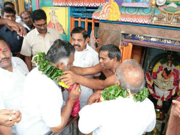 எப்படி பயன்படுத்தலாம்