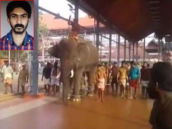 பலியான பாகன்