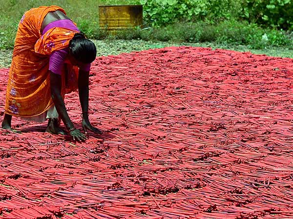 Crackers industry strike continuous for Fourth day today Crackers industry strike continuous for Fourth day today