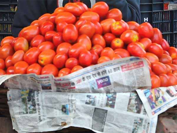 சரியத் தொடங்கியுள்ள விலை