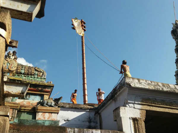 மார்கழி திருவாதிரை