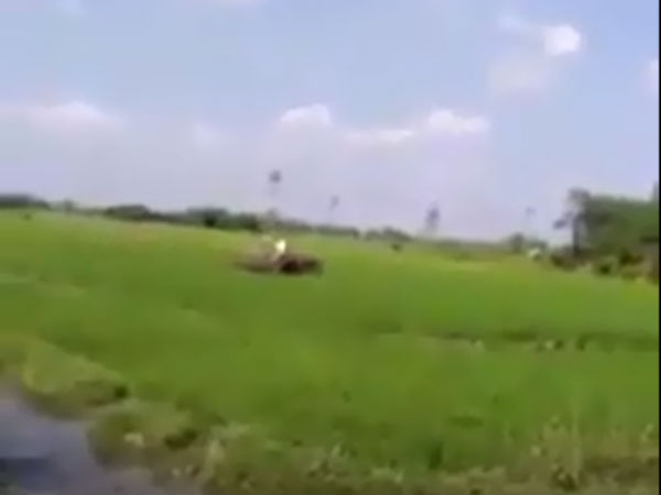 பயிரை அழிக்கக் கூடாது