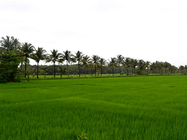 மாவட்ட ஆட்சியர்களுக்கு உத்தரவு