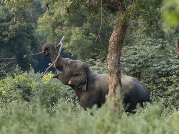 நுழைவு சீட்டு மையங்கள்