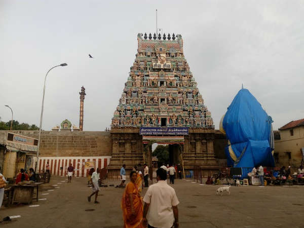 ஆகம விதிகள்