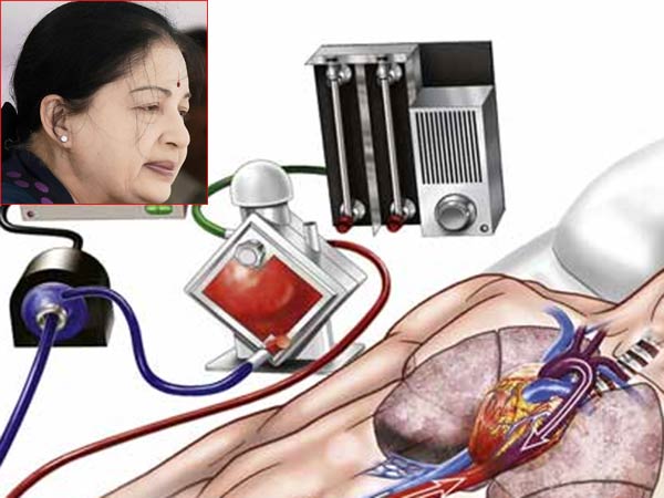 சர்க்கரையின் அளவு