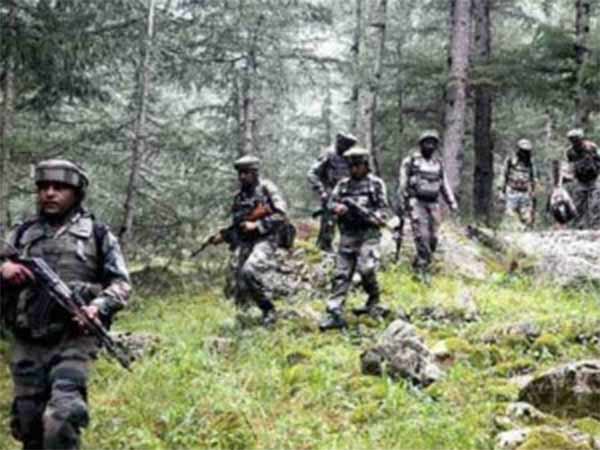 Fight breaks between militants and security forces in JK Fight breaks between militants and security forces in JK