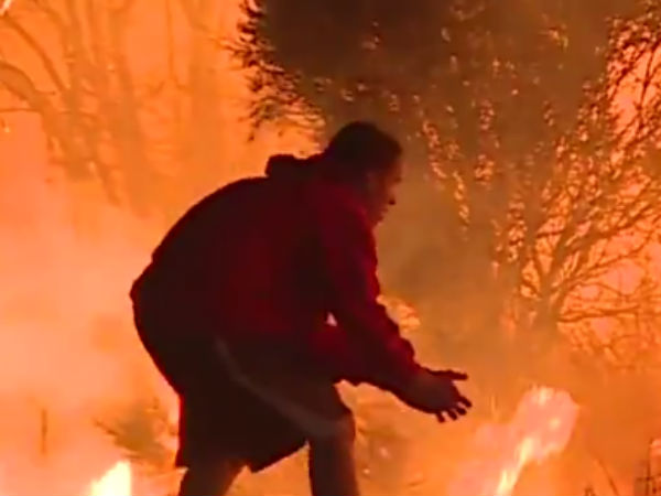 A brave man saves rabbit from California wild fire A brave man saves rabbit from California wild fire