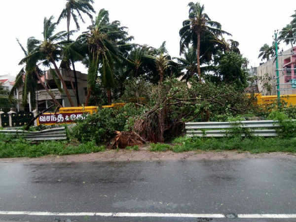  ஓகி புயல் கோர தாண்டவம் : தமிழகம், கேரளாவில் 8 பேர் பலி #CycloneOckhi