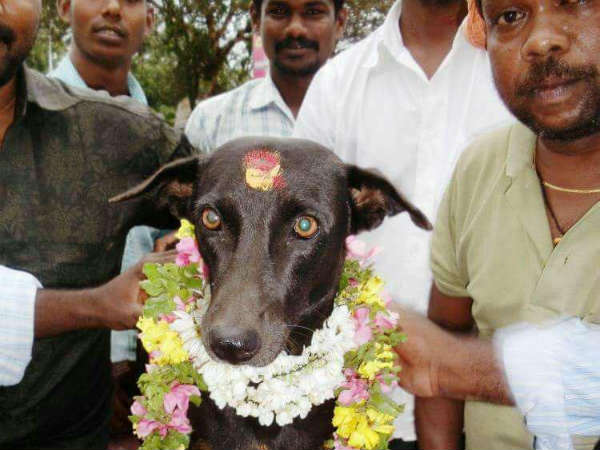 Baby Shower Function for TASMAC watch dog in Sivaganga district Baby Shower Function for TASMAC watch dog in Sivaganga district