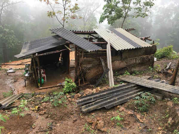 Central team experts visit rain affected areas Central team experts visit rain affected areas