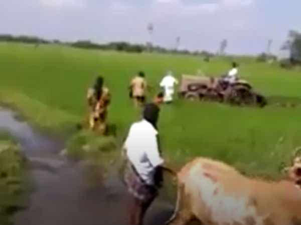 District Magistrate reviews damaged paddy crops issue in Arni District Magistrate reviews damaged paddy crops issue in Arni