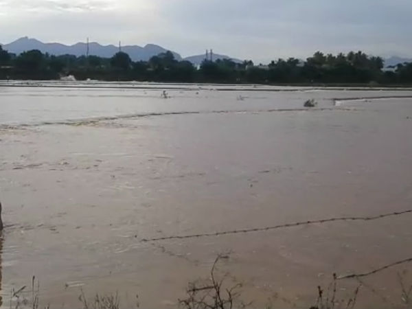 650 Acres affected because of pond near Sengottai breaks out 650 Acres affected because of pond near Sengottai breaks out
