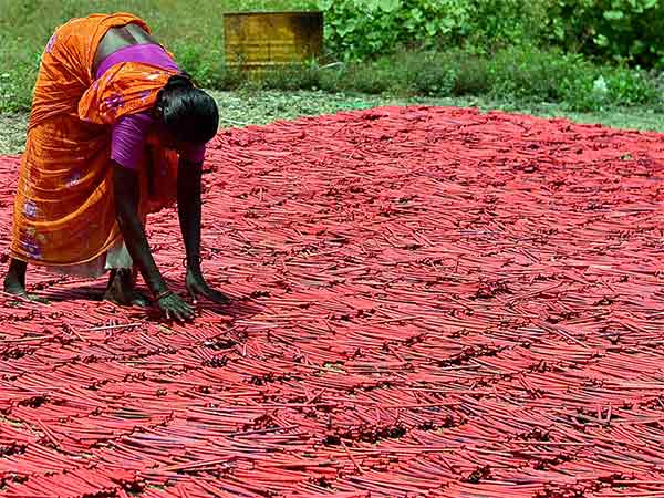 Sivakasi fireworks manufacturers were continuing their indefinite strike Sivakasi fireworks manufacturers were continuing their indefinite strike
