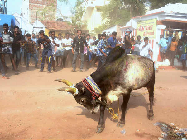 வீரர்களுக்கும் சோதனை