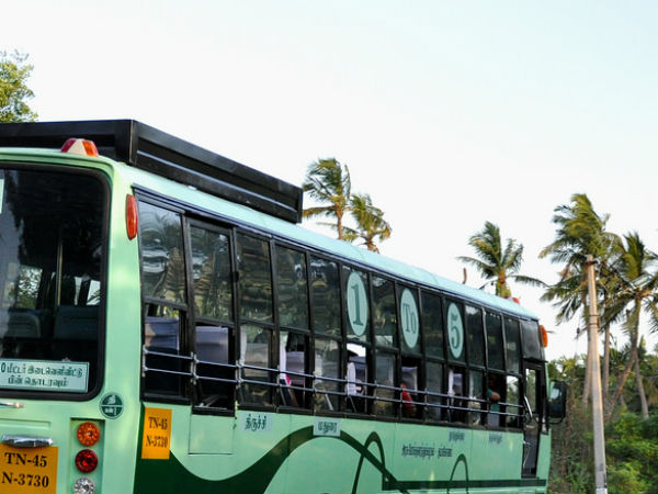 சிறப்பு பஸ்கள்