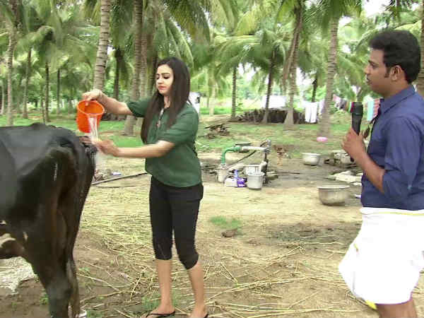 மாடு கழுவணும்