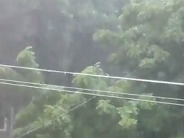 அதிகாலையில் குளிர்