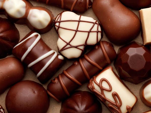 Chocolates are going to be vanished says researches Chocolates are going to be vanished says researches